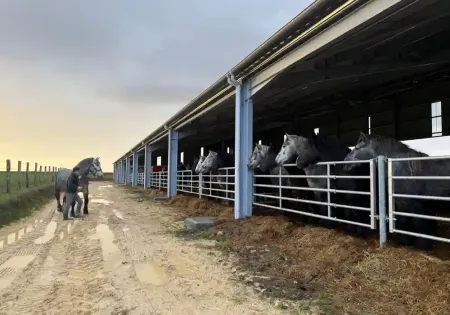 Bâtiment d’élevage pour chevaux : une écurie de 2 700 m²